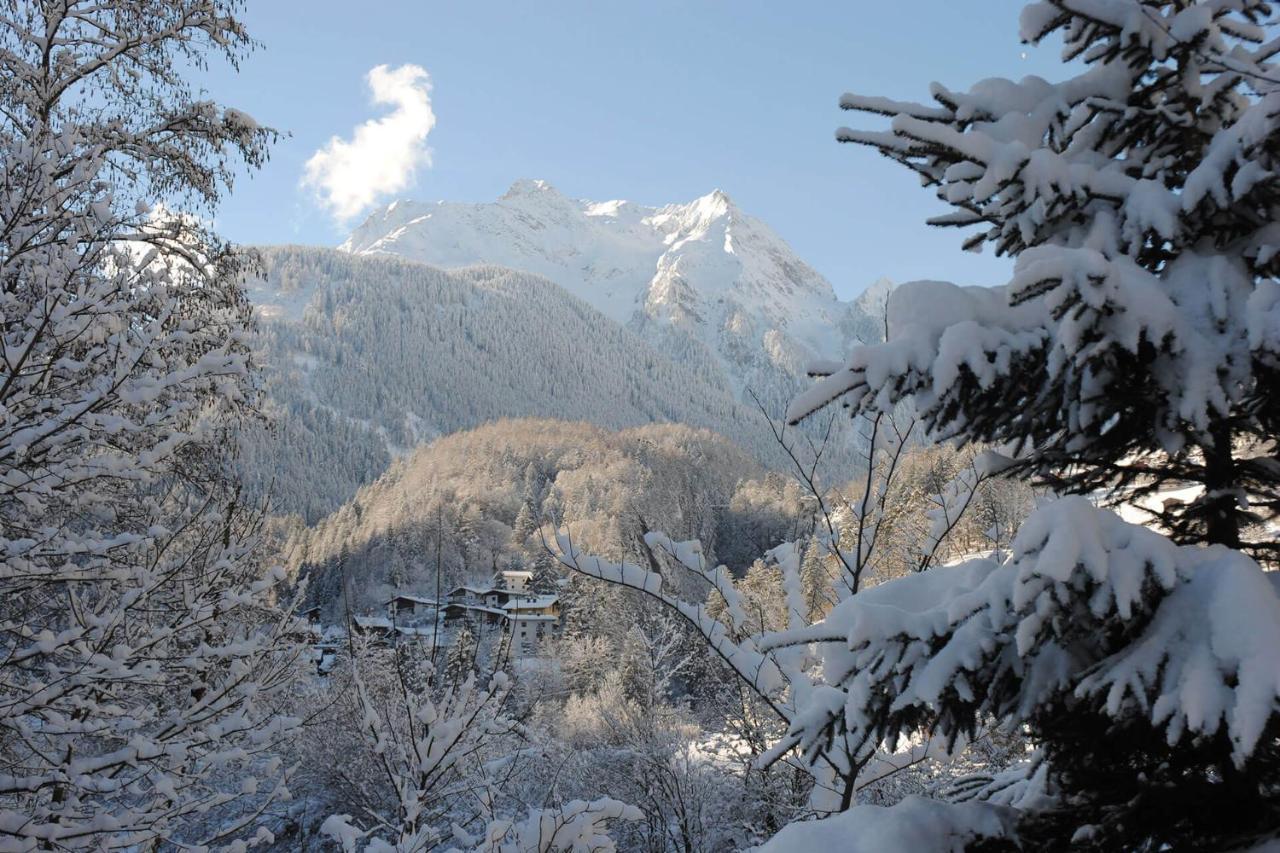 Ferienhof Oblasser Mayrhofen Extérieur photo
